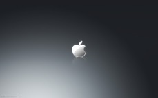 apple_229.jpg