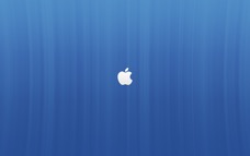 apple_295.jpg