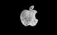 apple_444.jpg